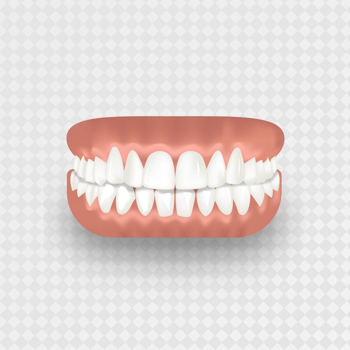 Human teeth, realistic jaw, on a transparent background
