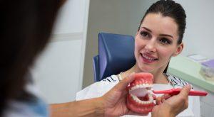 Dentist showing set of model teeth to the patient in the clinic